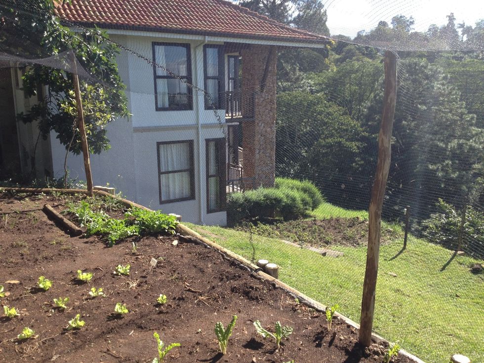 Have your perimeter poles and internal poles on which you will fasten your bird protector mesh