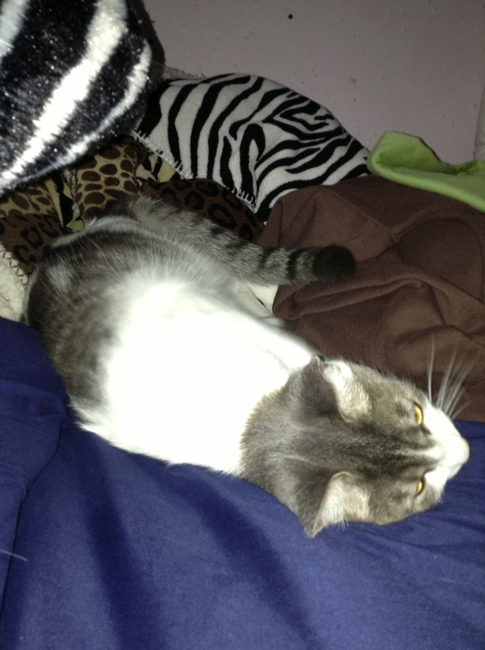 He will probably ignore you first. Don't be discouraged by that.