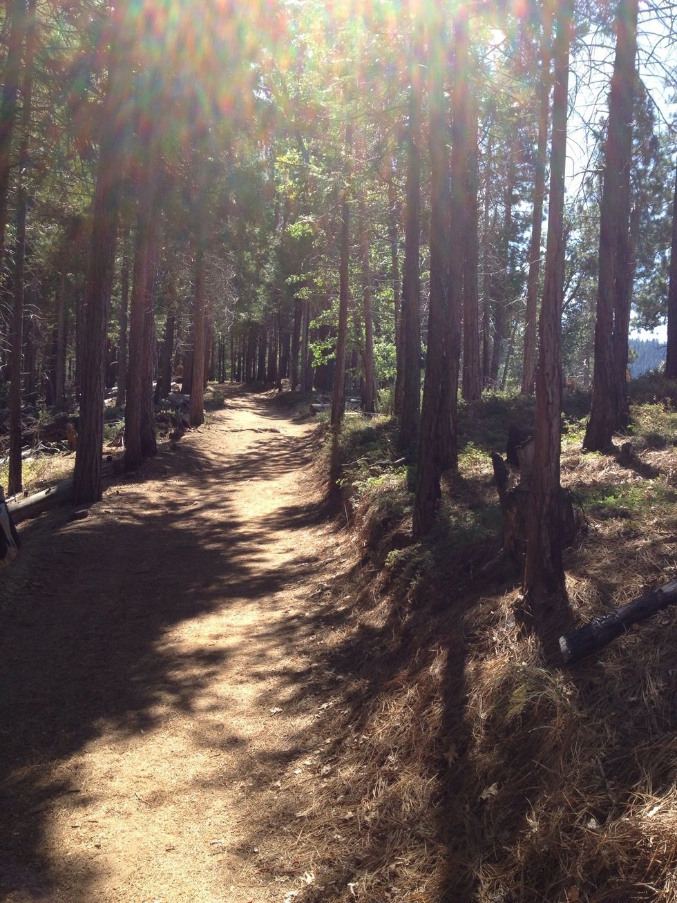 Head up the forested path. You'll be climbing 2000 feet in elevation, so pace yourself and drink lots of water.
