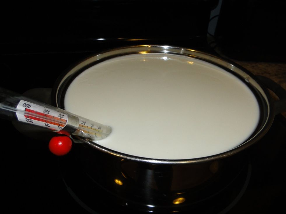 Heat mixture gently( 5 to 8 minutes) to 90 deg Fahrenheit while gently stirring then remove from heat.