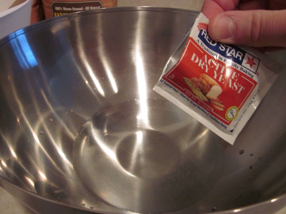 Heat the 1 1/2 cups of water a bit, roughly 30 seconds in your fancy microwave device. Pour in the yeast and mix until dissolved... completely.