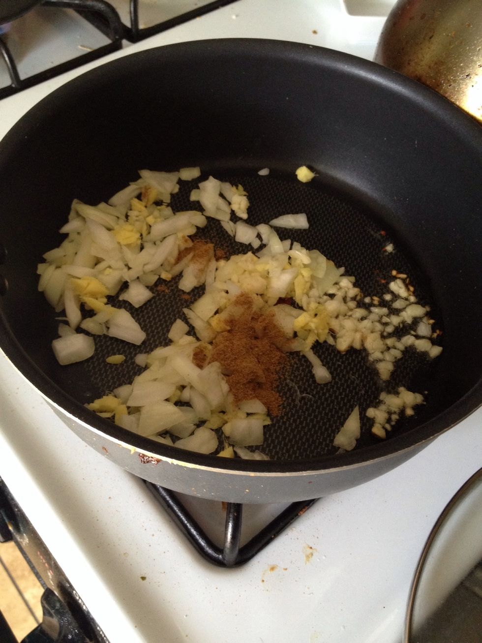 Heat the vegetable oil in a large skillet over medium heat. Stir in the onion, garlic, and cumin seeds. Cook and stir until the onion has turned golden brown; about 3 minutes.