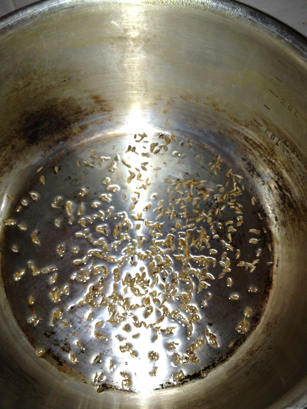 Heat your (preferably heavy bottom) saucepan, put in a tablespoon of oil. I use groundnut, feel free to use whatever, just not olive oil. Add your cumin seeds.