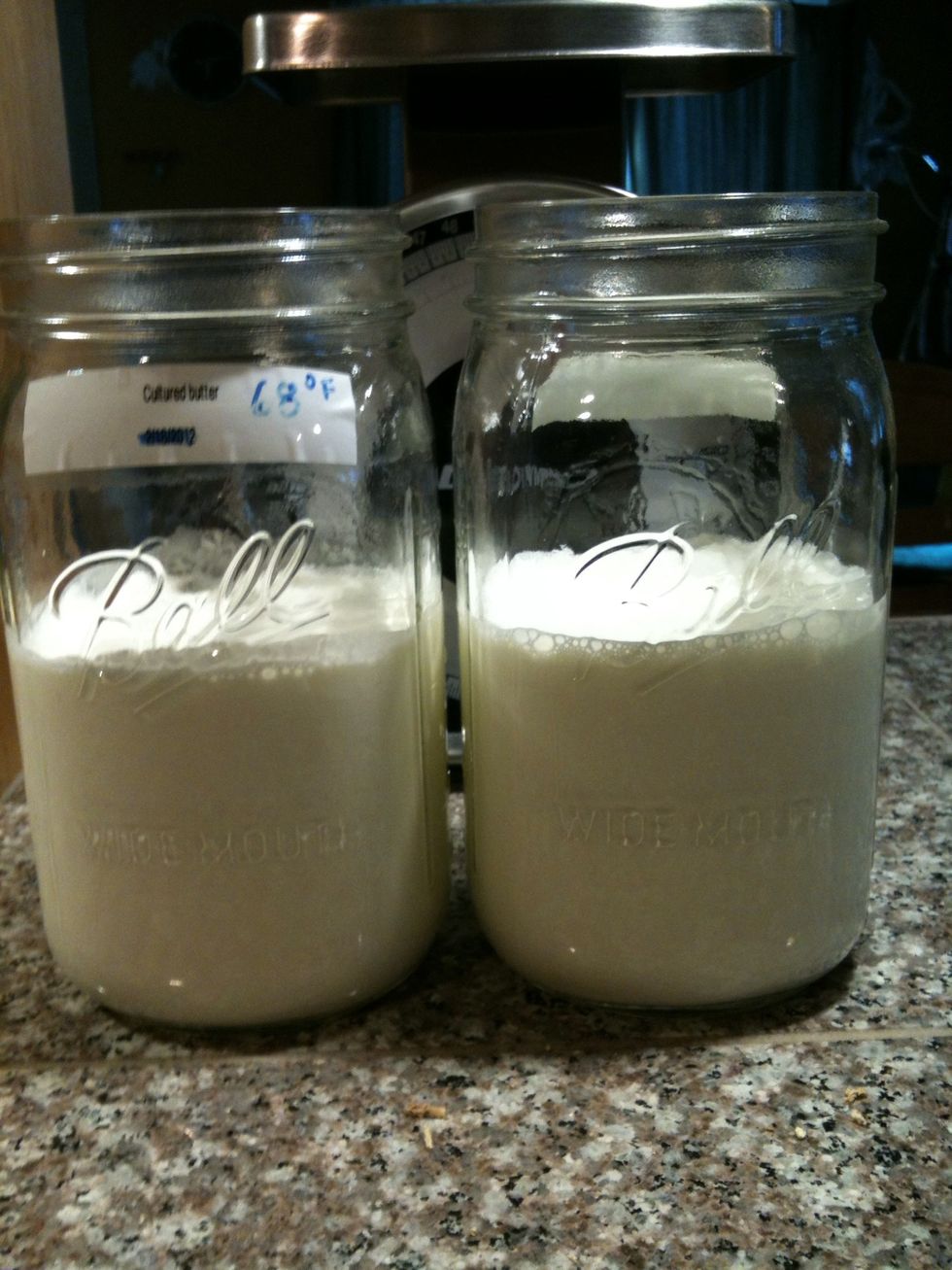 Heavy cream and buttermilk combined. Then, culture for 12 hrs at 68 degrees. Cover with cloth.