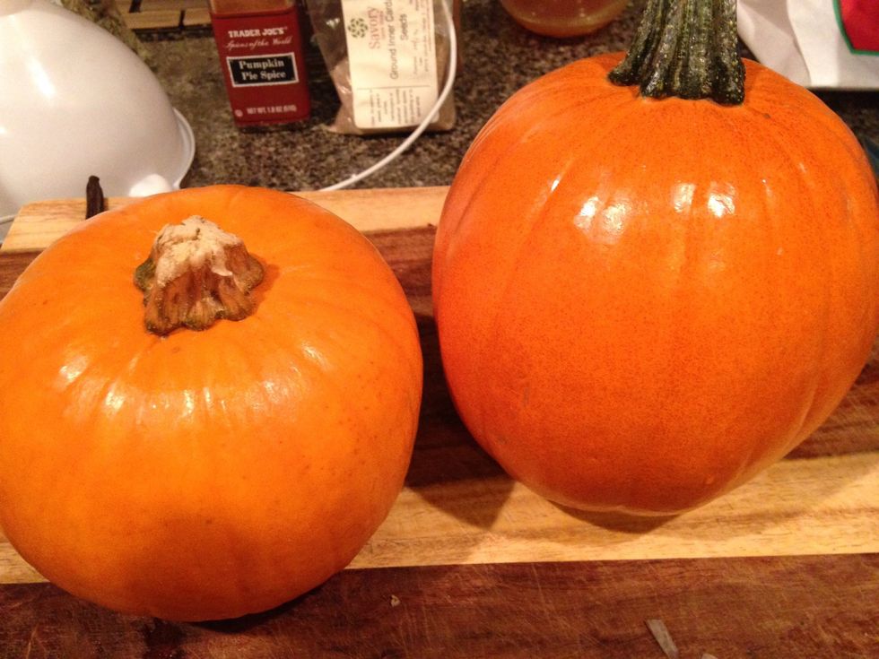 Hello there little pumpkins. \ud83c\udf83