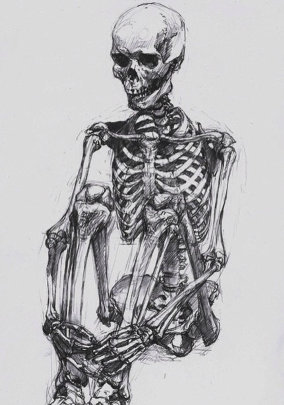 HELP!  THE BEST WAY TO LEARN HOW TO DRAW A REALISTIC HUMAN FACE IS TO LEARN HOW TO DRAW A SKULL.