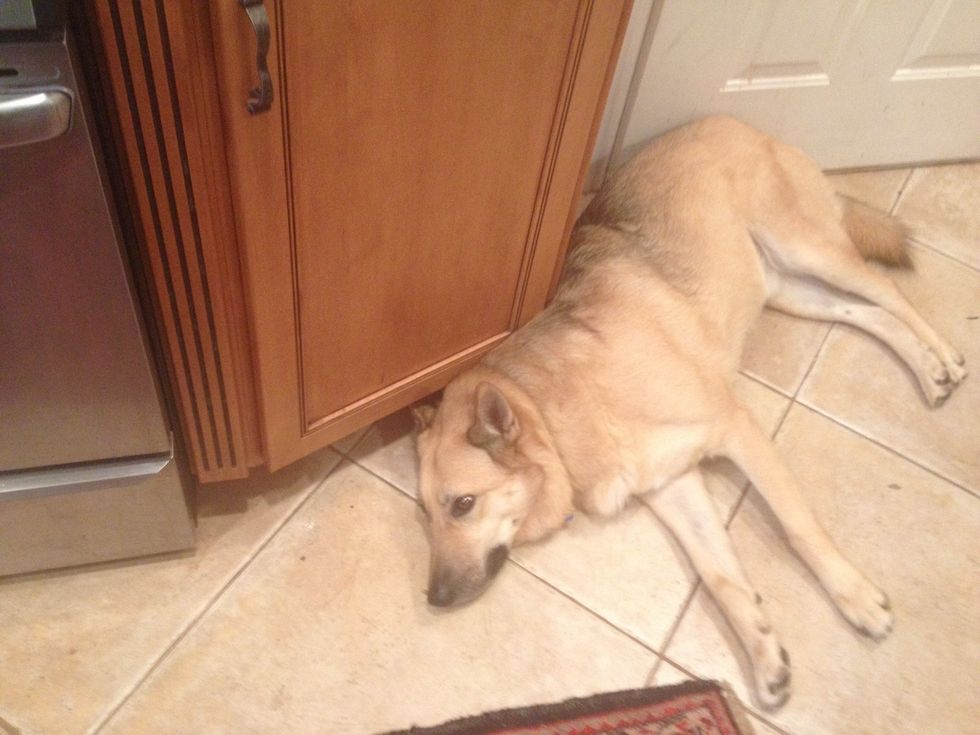 Helper#2 guards the oven while they cook.