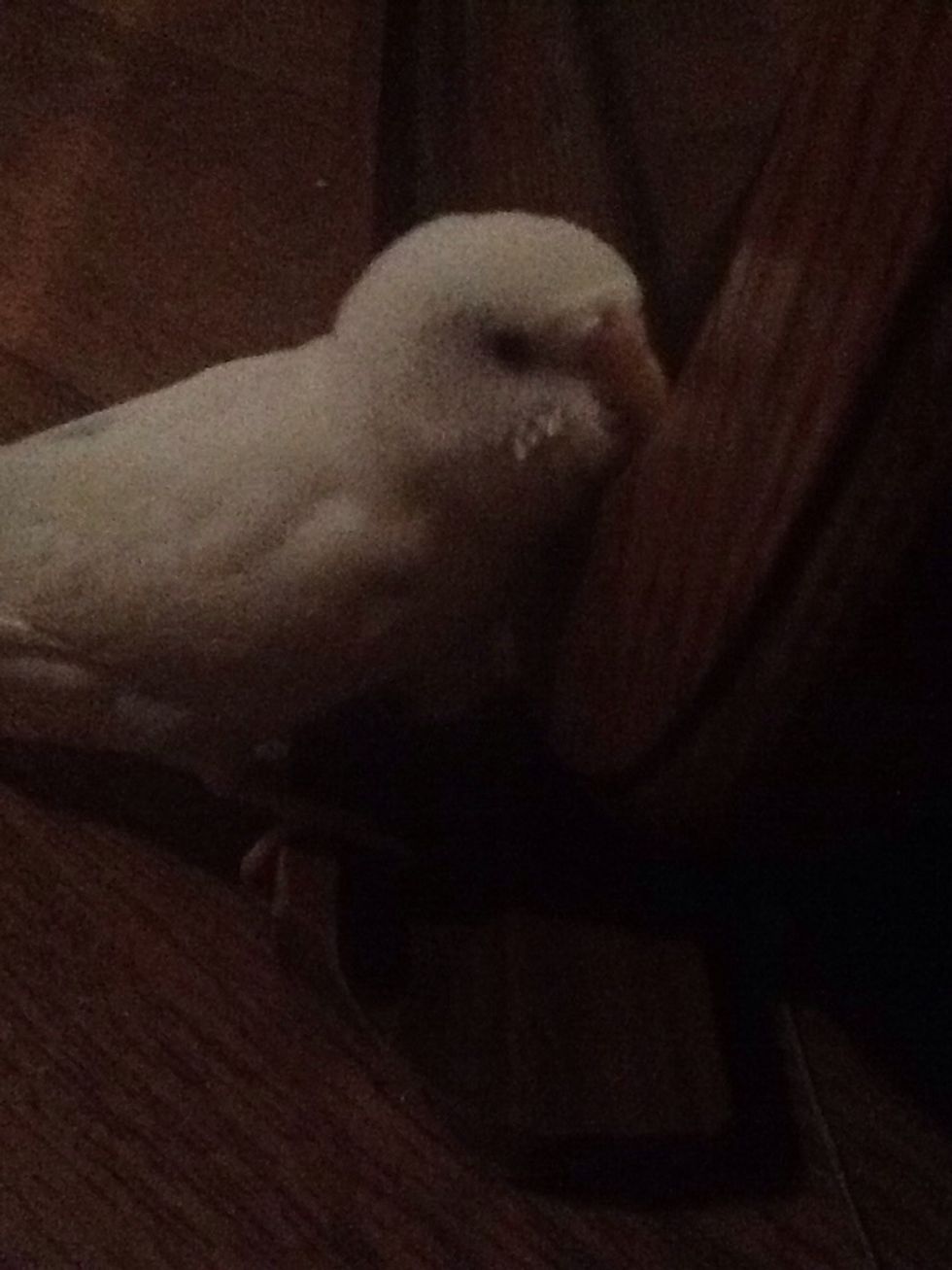 Her \u2795mirror=\u2764\ufe0f