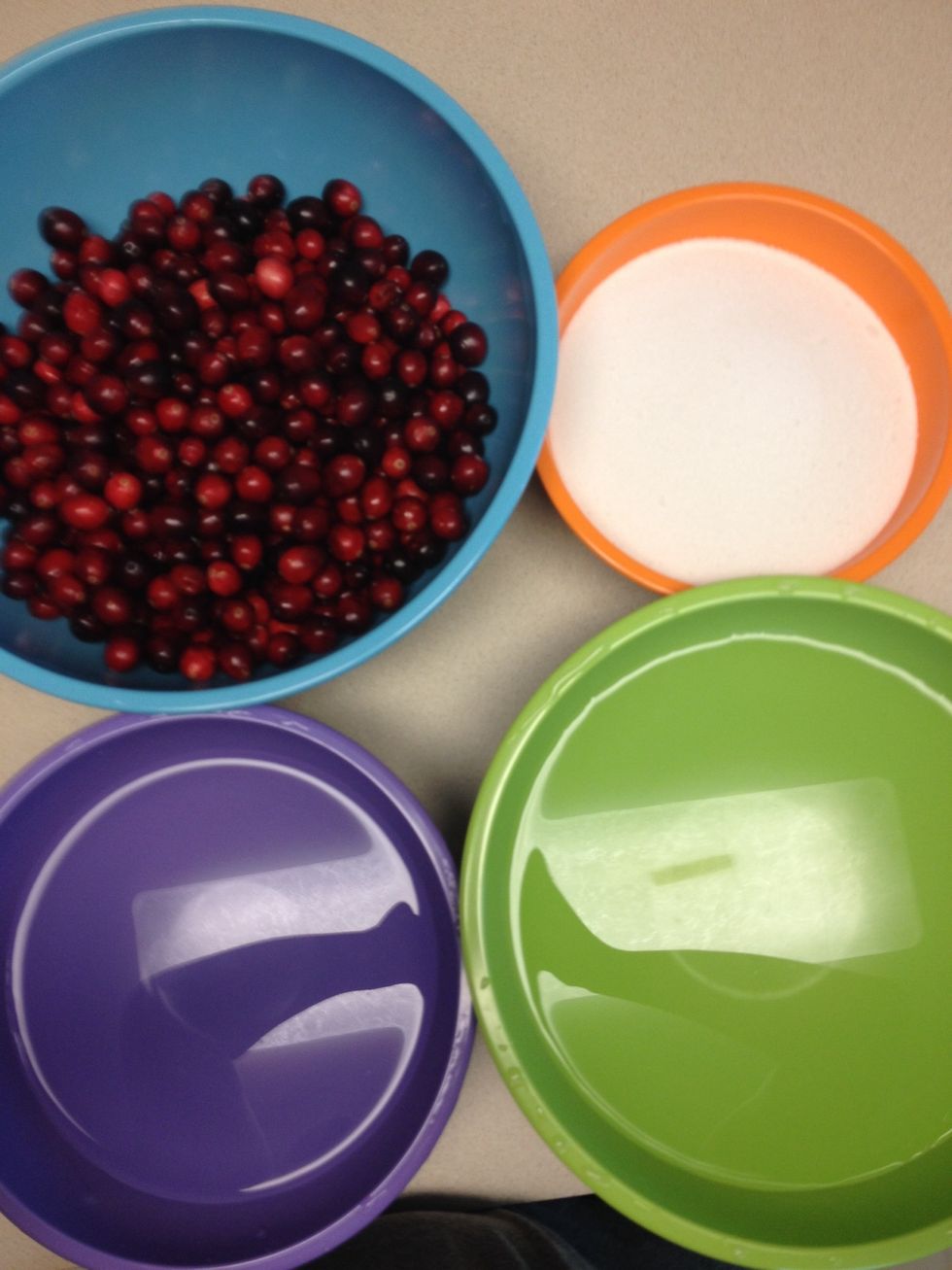 Here are all of the ingredients!  I tripled the recipe! *the larger bowl of water is to clean the cranberries*