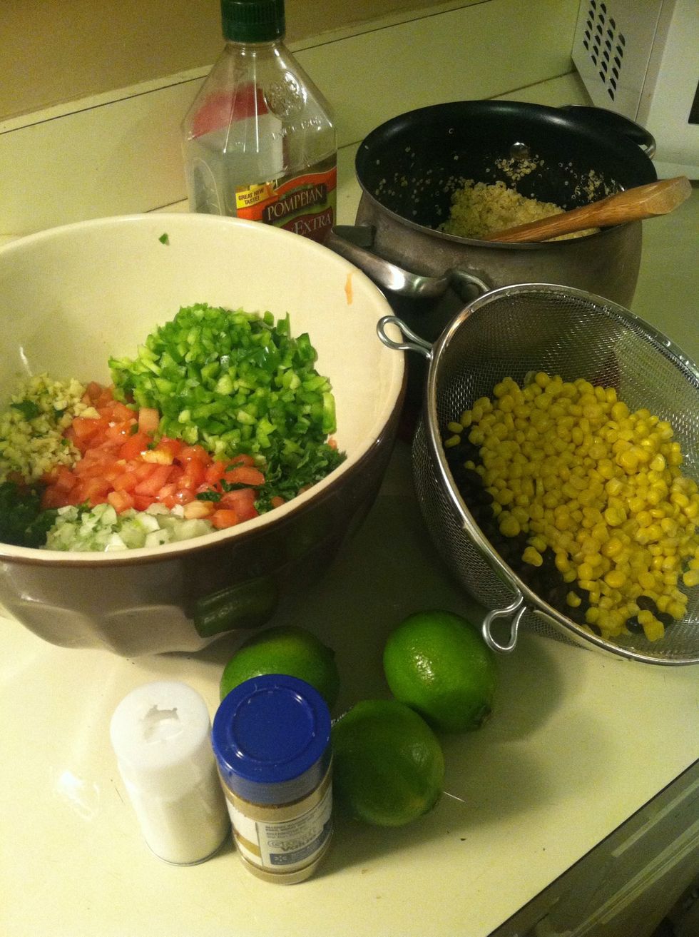Here are all the ingredients before mixing it all together.