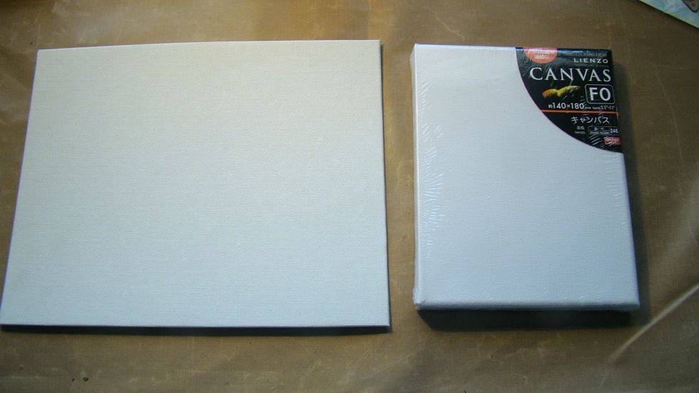 Here are my two canvases I chose.