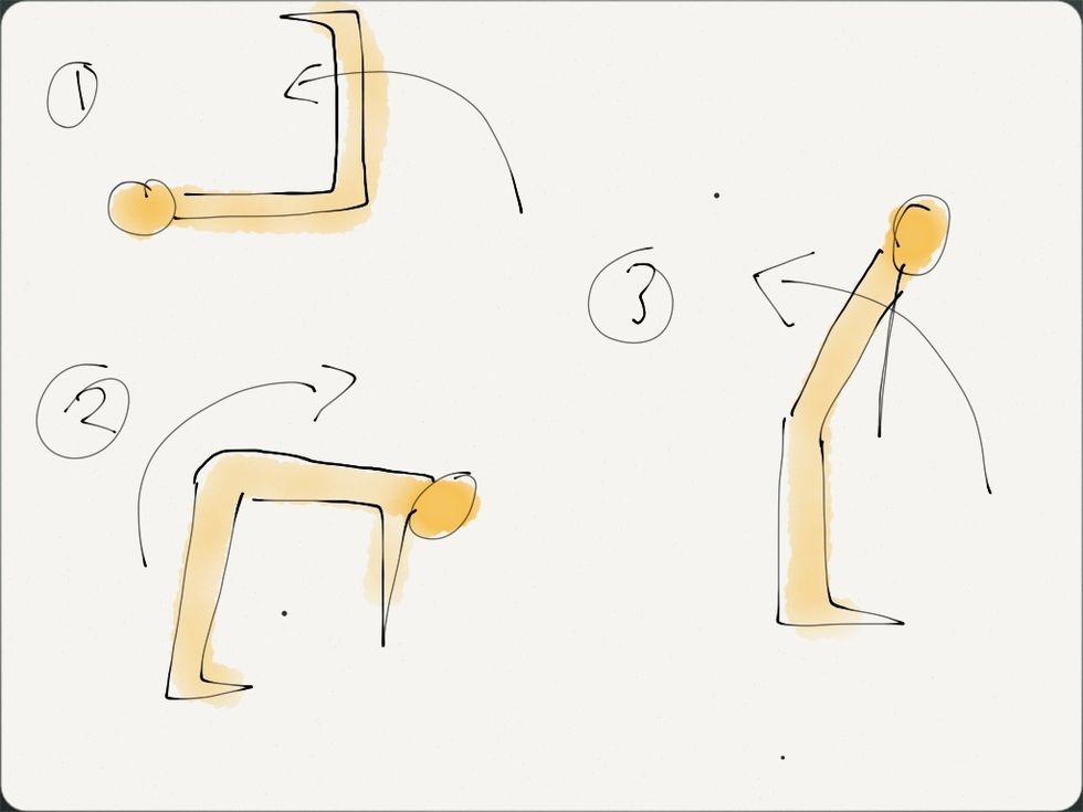 Here are some of the many ways that our useful hamstrings collaborate in our motion requests. Thank them, exercise them smartly, don't stretch the heck out of them, they work hard already!