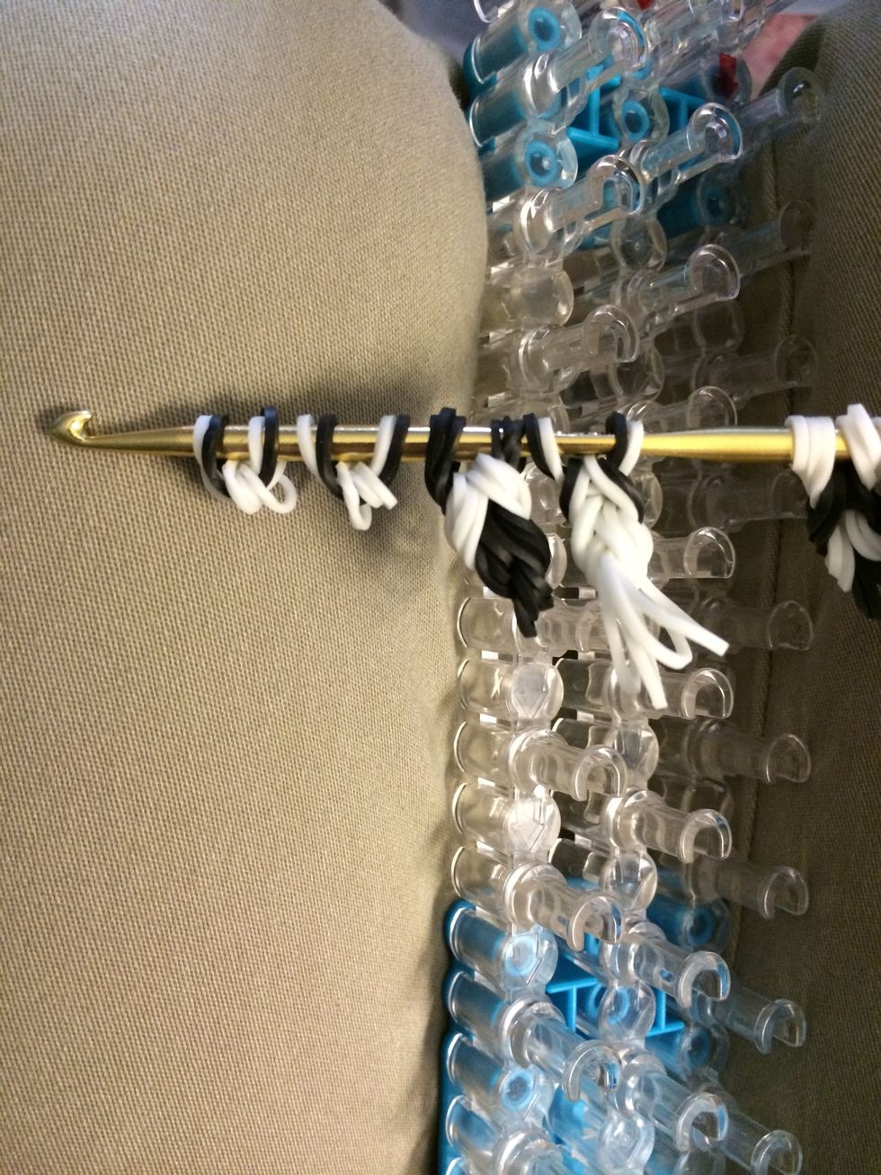 Here are the ears, nose and tail