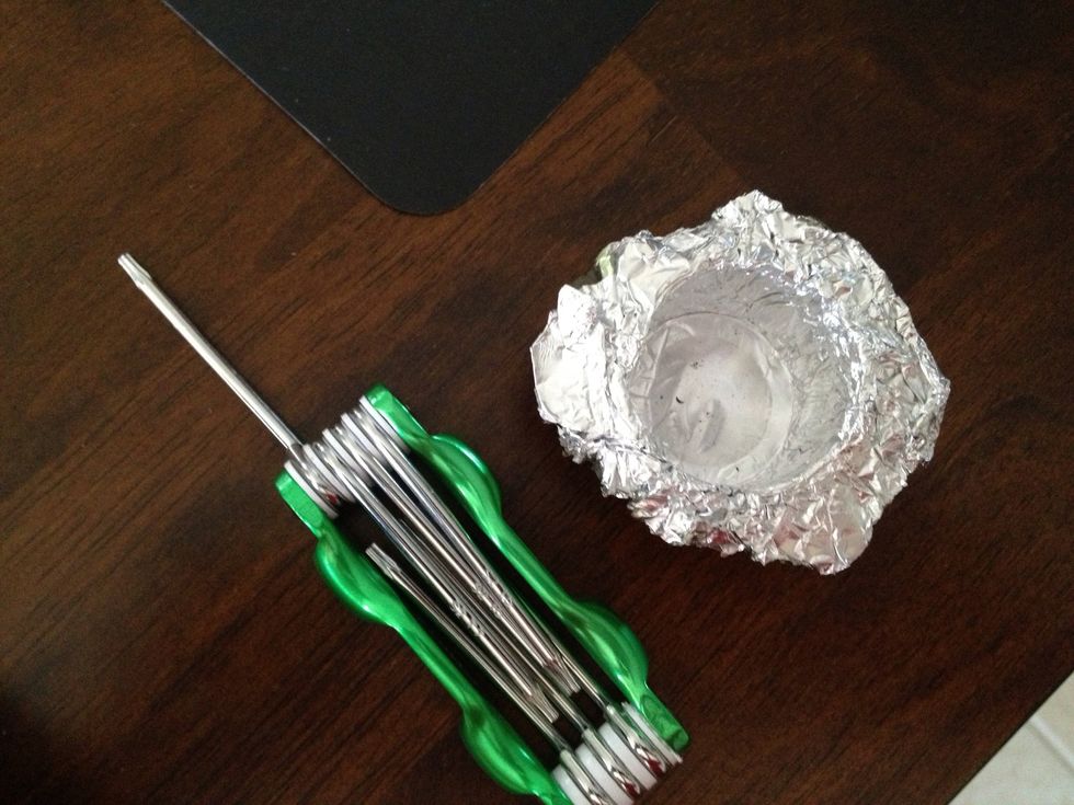 Here are the supplies that I chose to dissect my controllers triggers. A Security torx set and a fiberglass cup that I made to hold the screws.