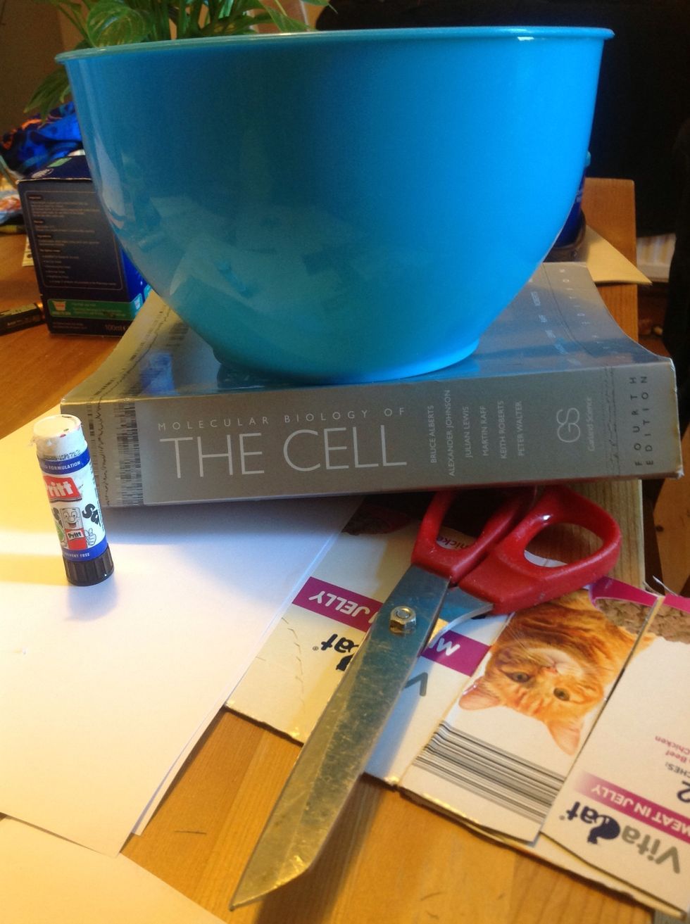 Here are the supplies you need....