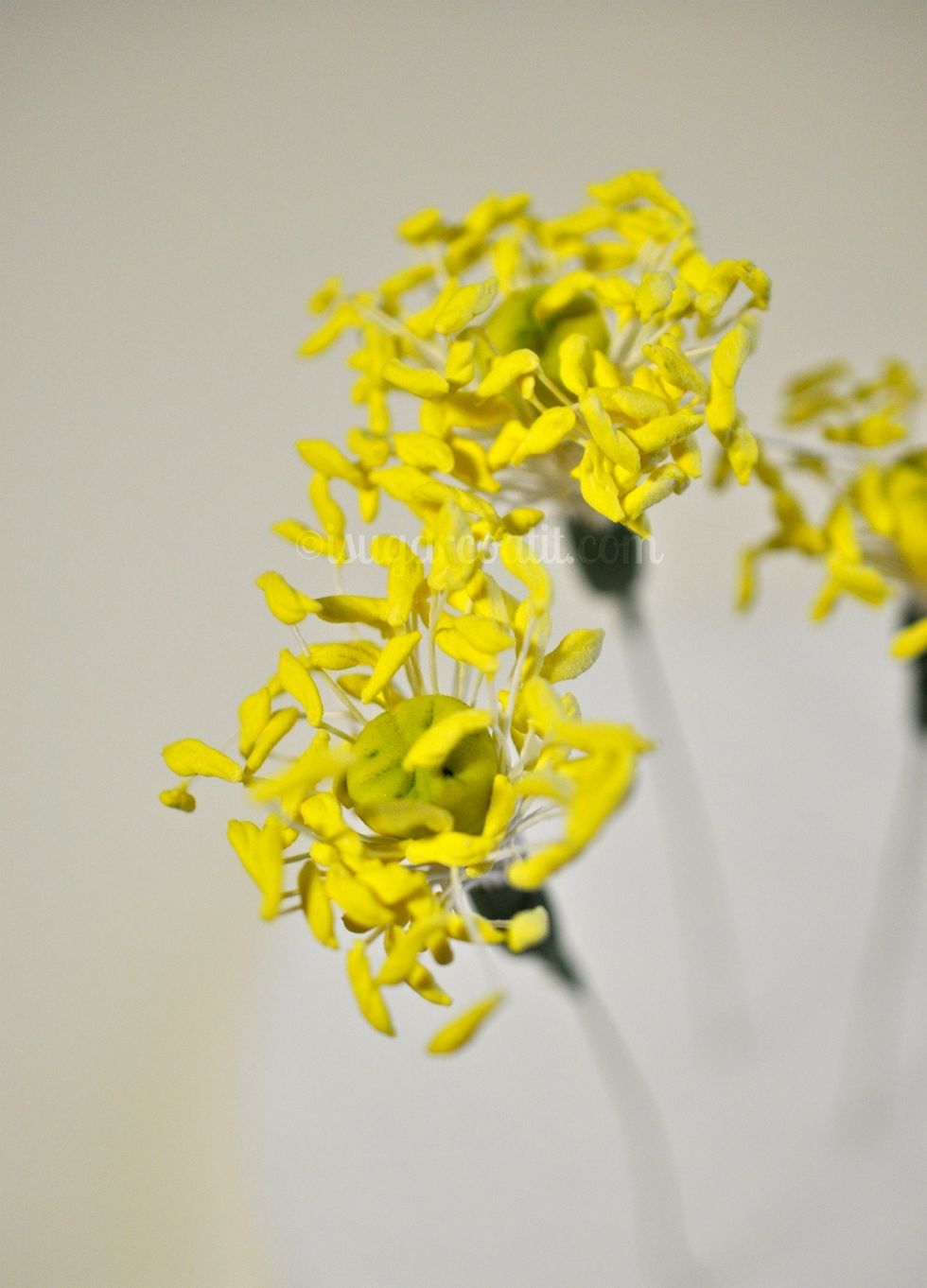 Here are three completed centers. Now on to the petals...