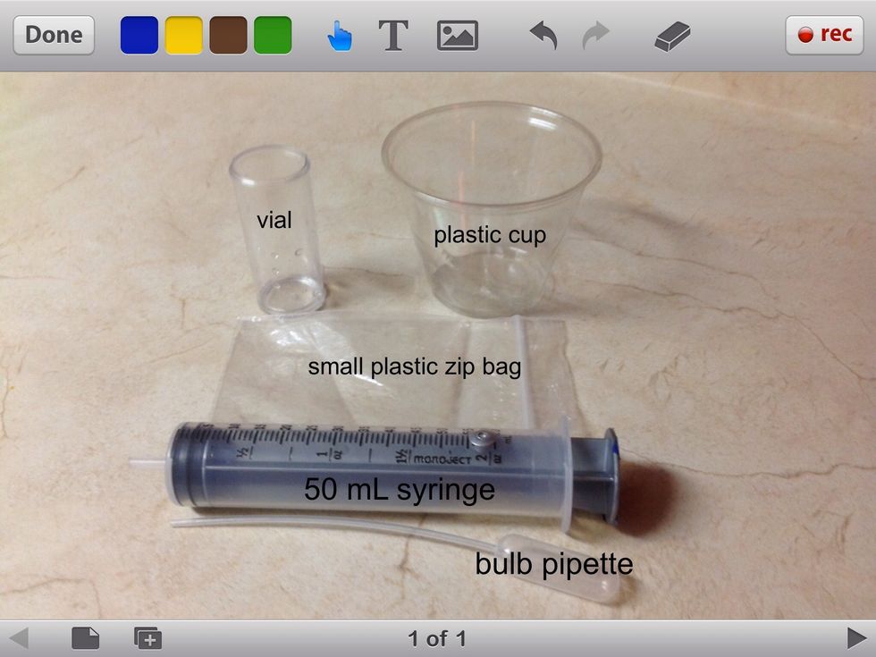 Here are your supplies. Go to the counter and get one vial, one plastic cup, one small plastic zip bag, one 50 mL syringe, and one bulb pipette.