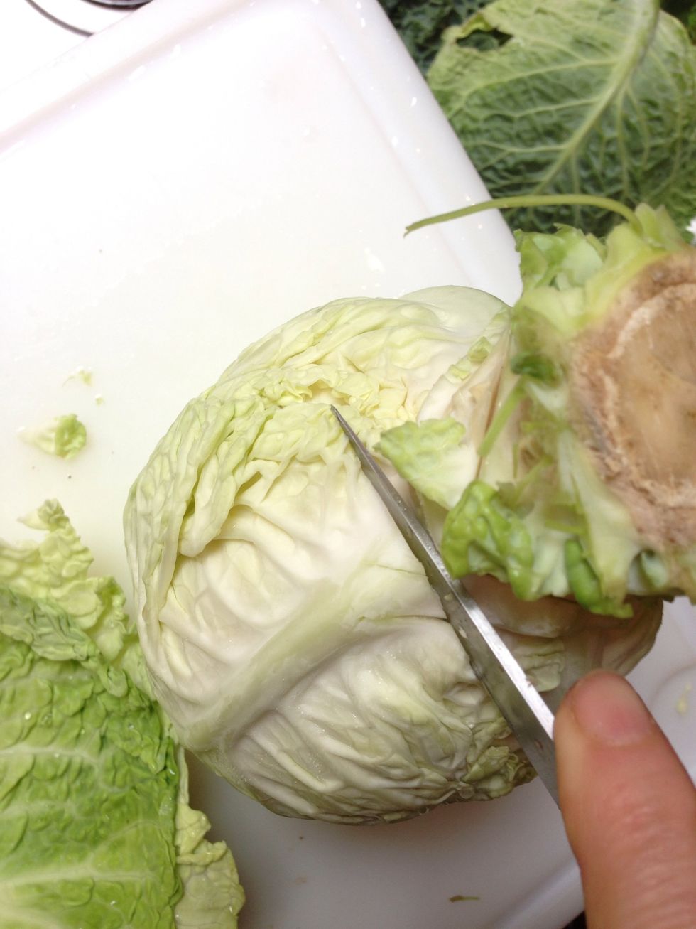 .here I choose the lighter color ones. I need around 12 leaves. Cut the ribs like above