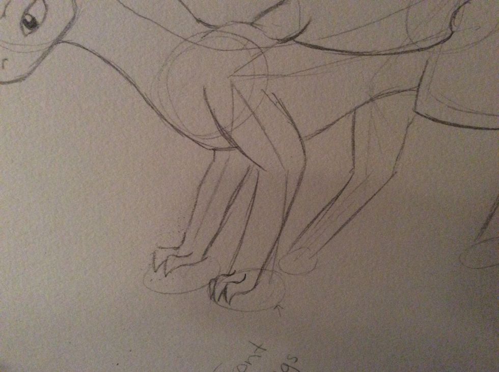 Here I started the claws