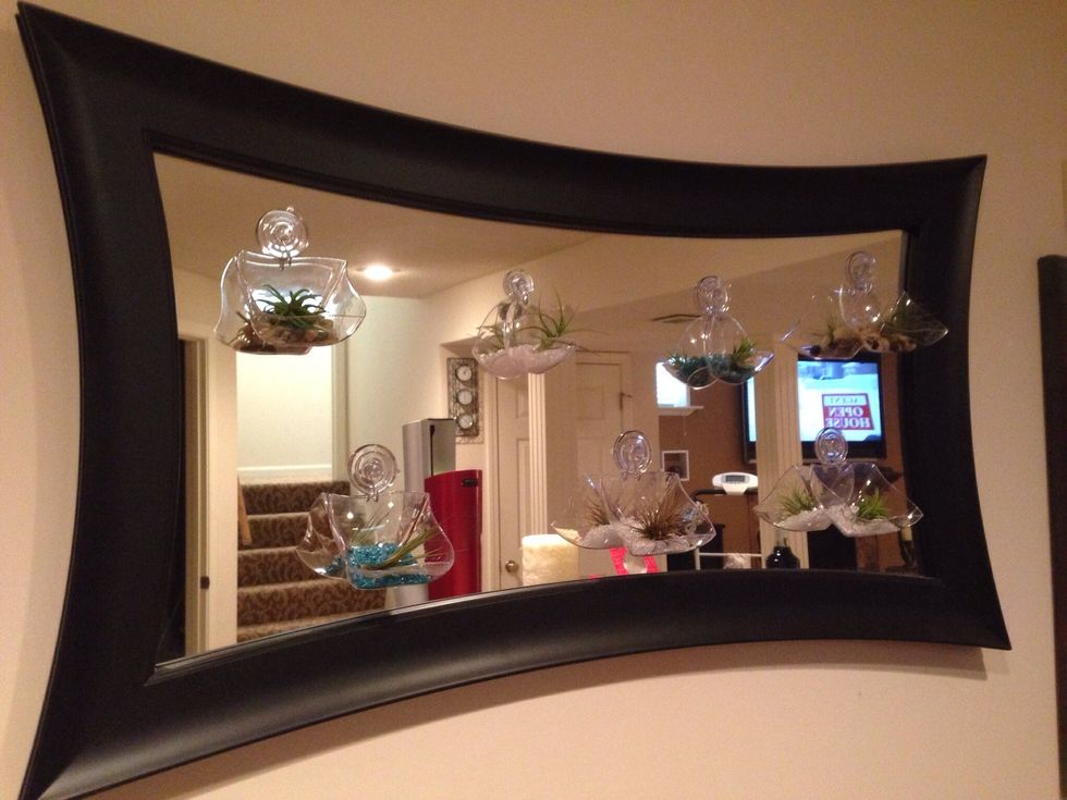 Here I used a mirror to hang to, and I filled the containers with blue glass, rocks, and white crystal pieces.  The plant just sits loosely on top.