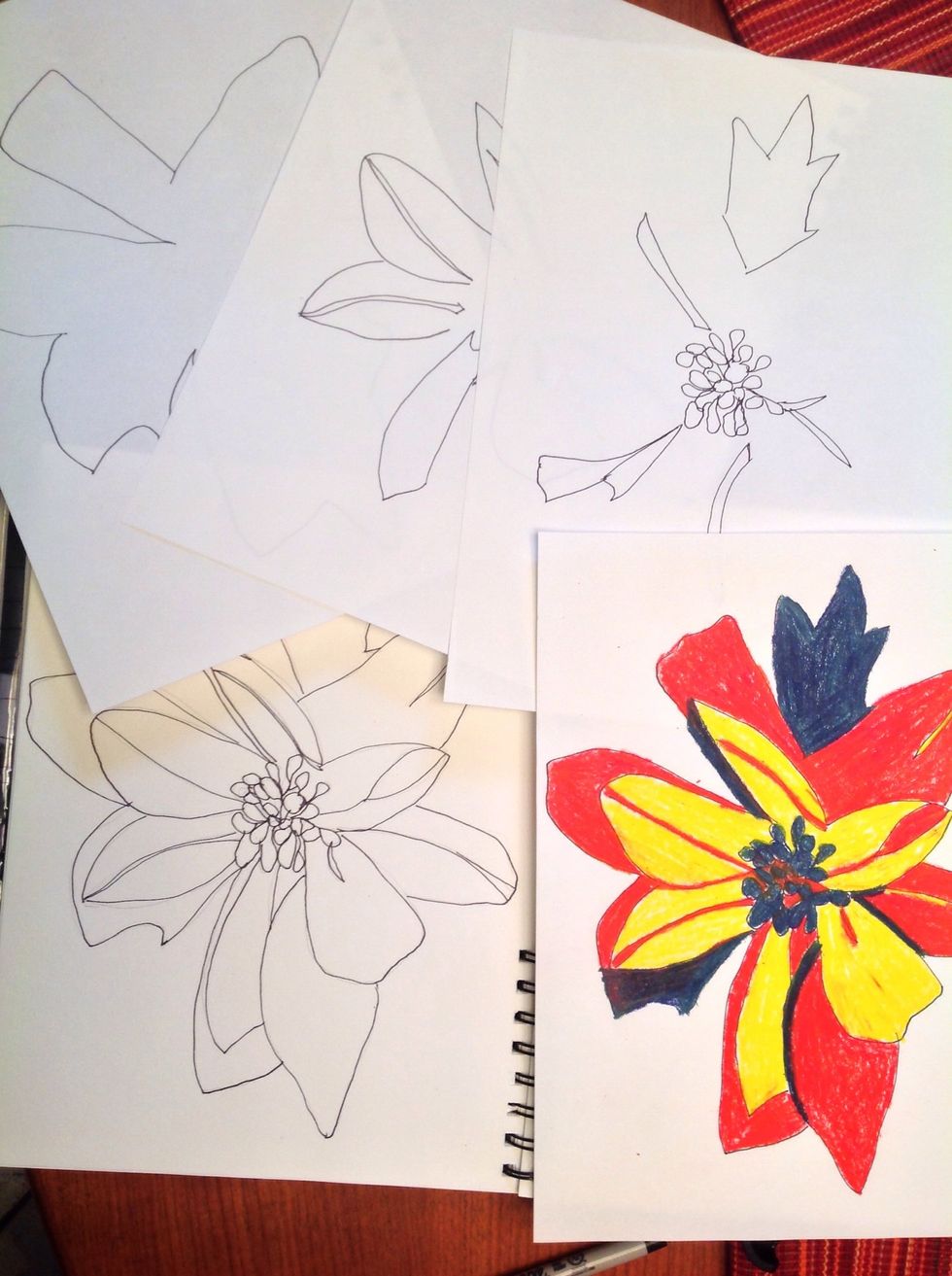 Here I've moved to a new drawing, but notice that while the flower shape changes, the process stays the same. I've also gone ahead and traced patterns isolating each color.