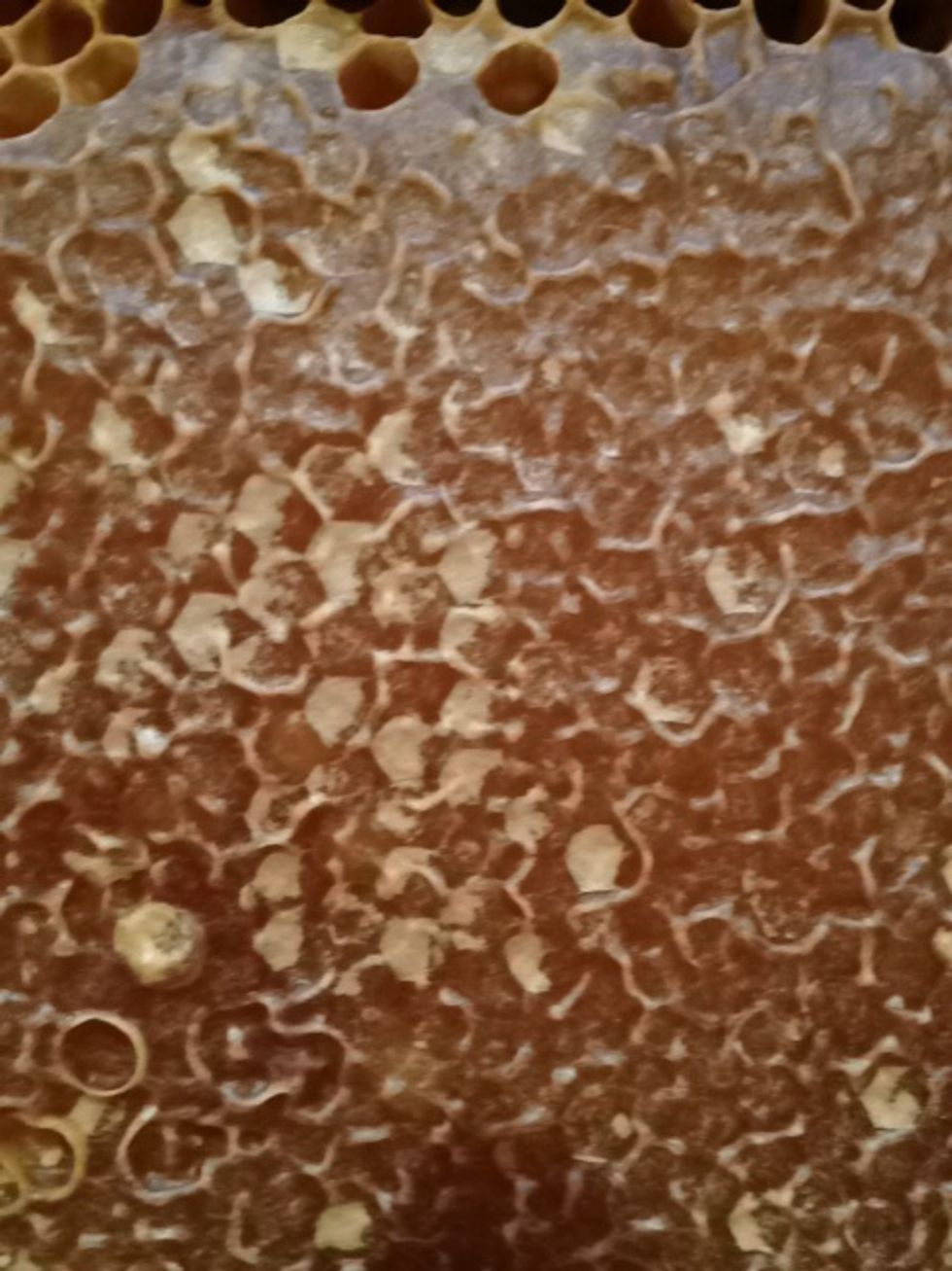 Here is a close up of the capped frame.