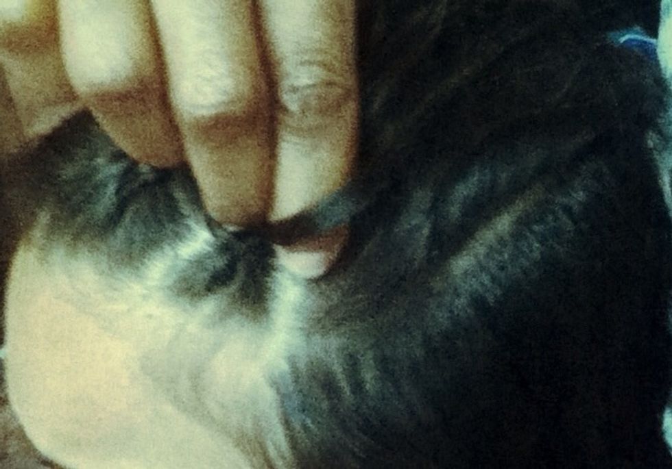 Here is a closer picture