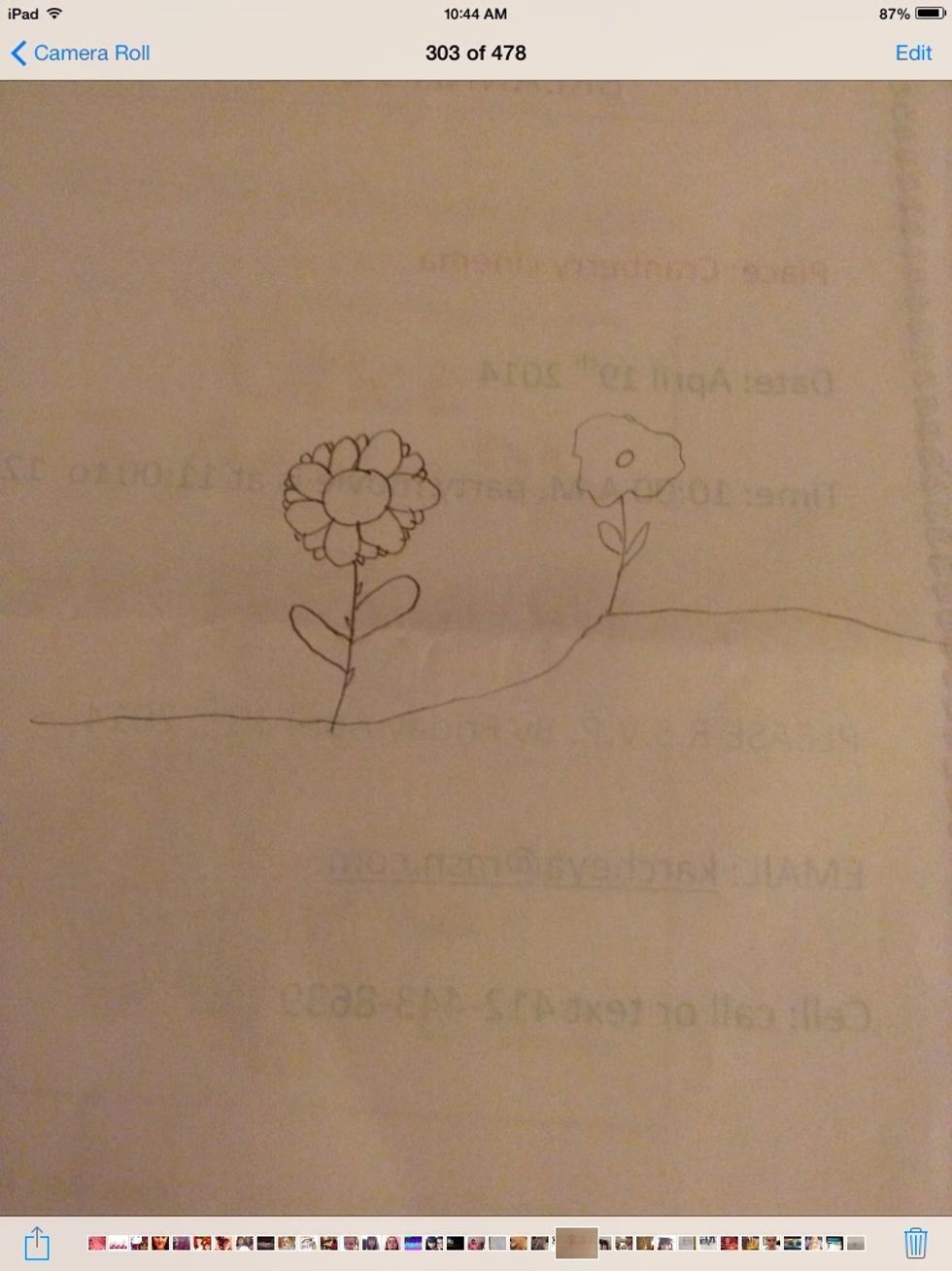 Here is a example of someone else creating a flower from these directions.