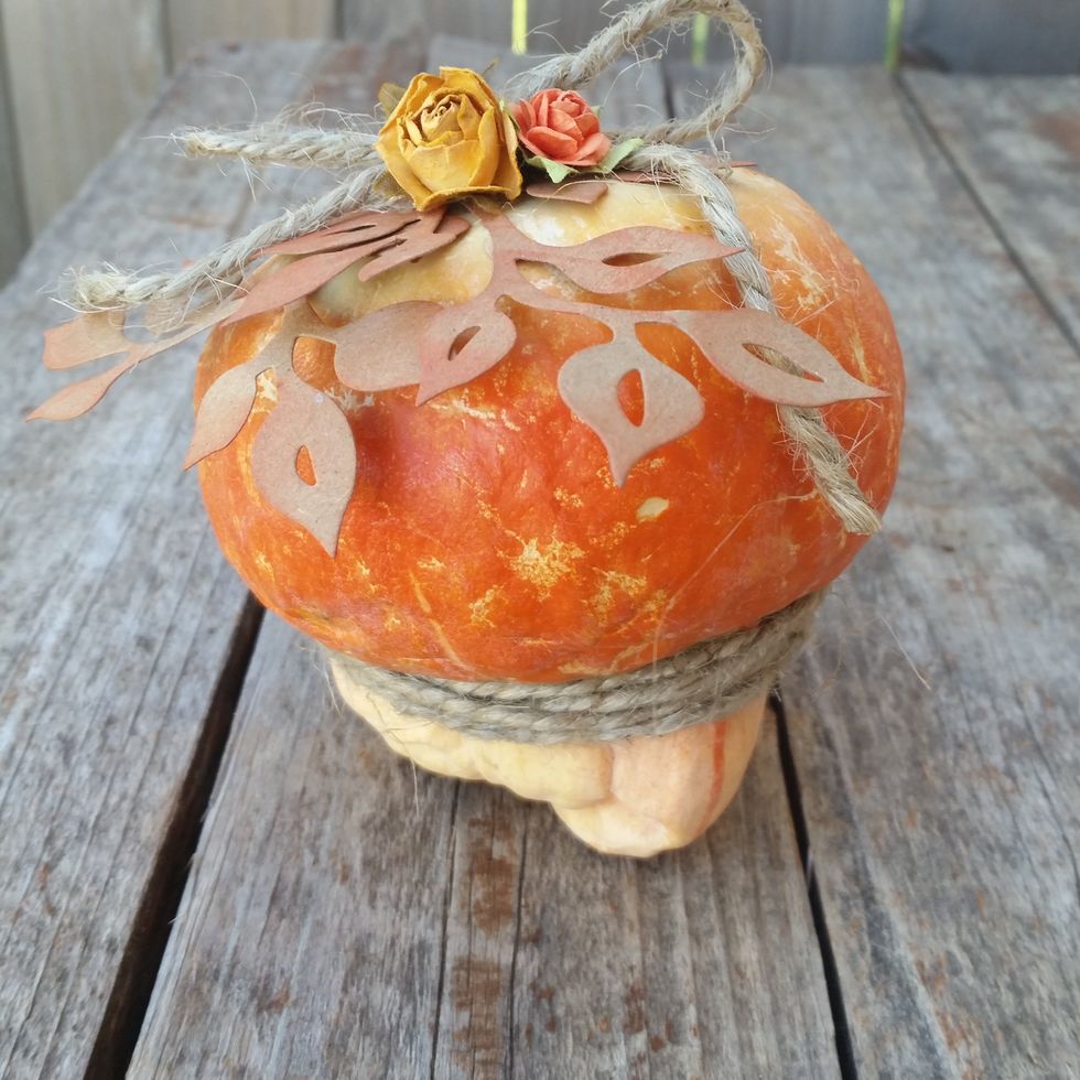 Here is a fairy house pumpkin. It does not have the grooves running up and down like the others, so I altered it and wrapped rope around the bottom then decorated the top.