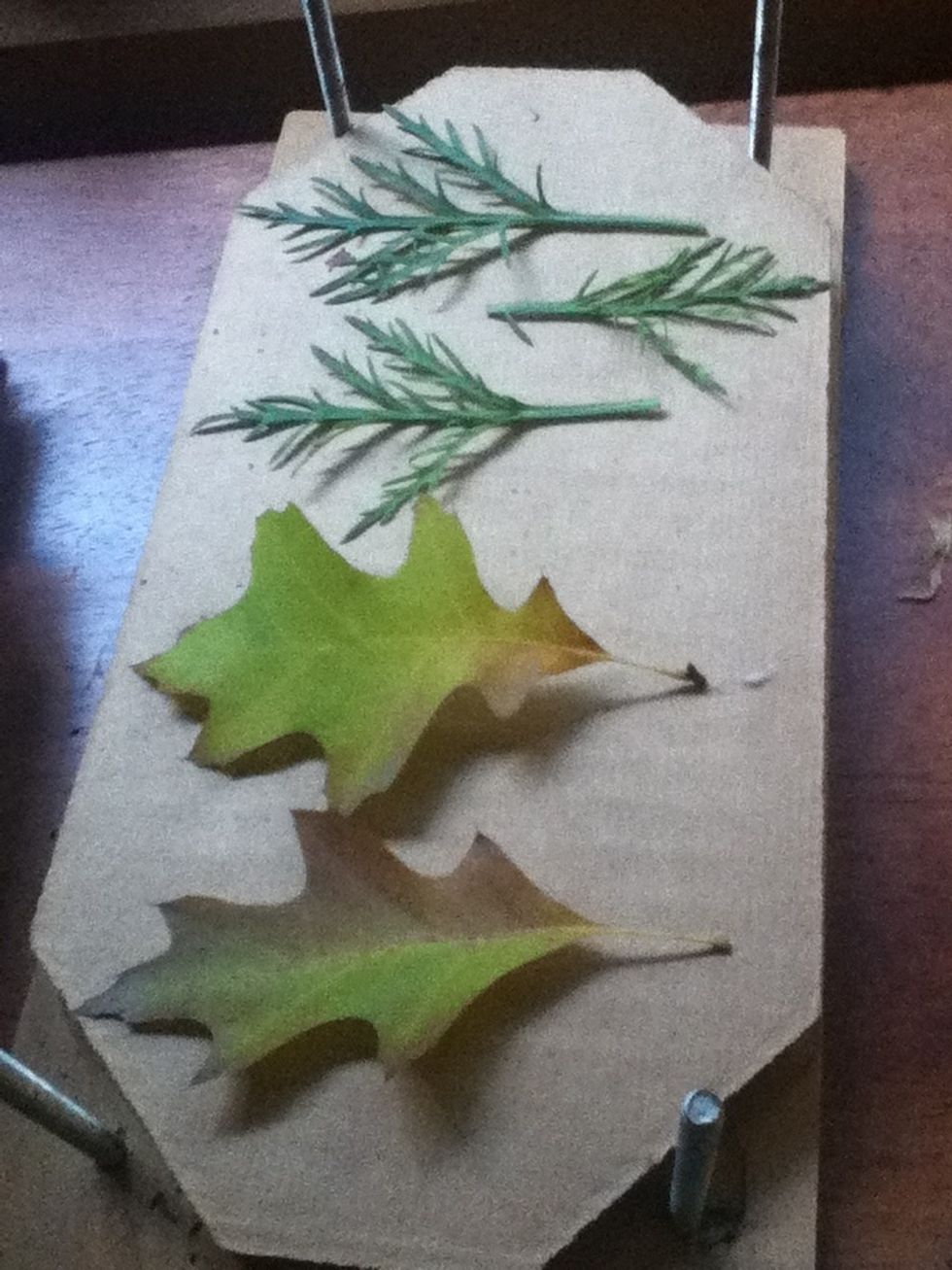 Here is an example.