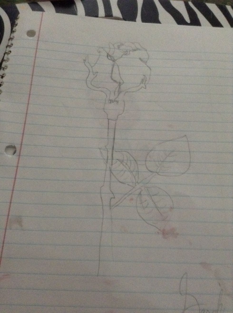 Here is another rose I drew