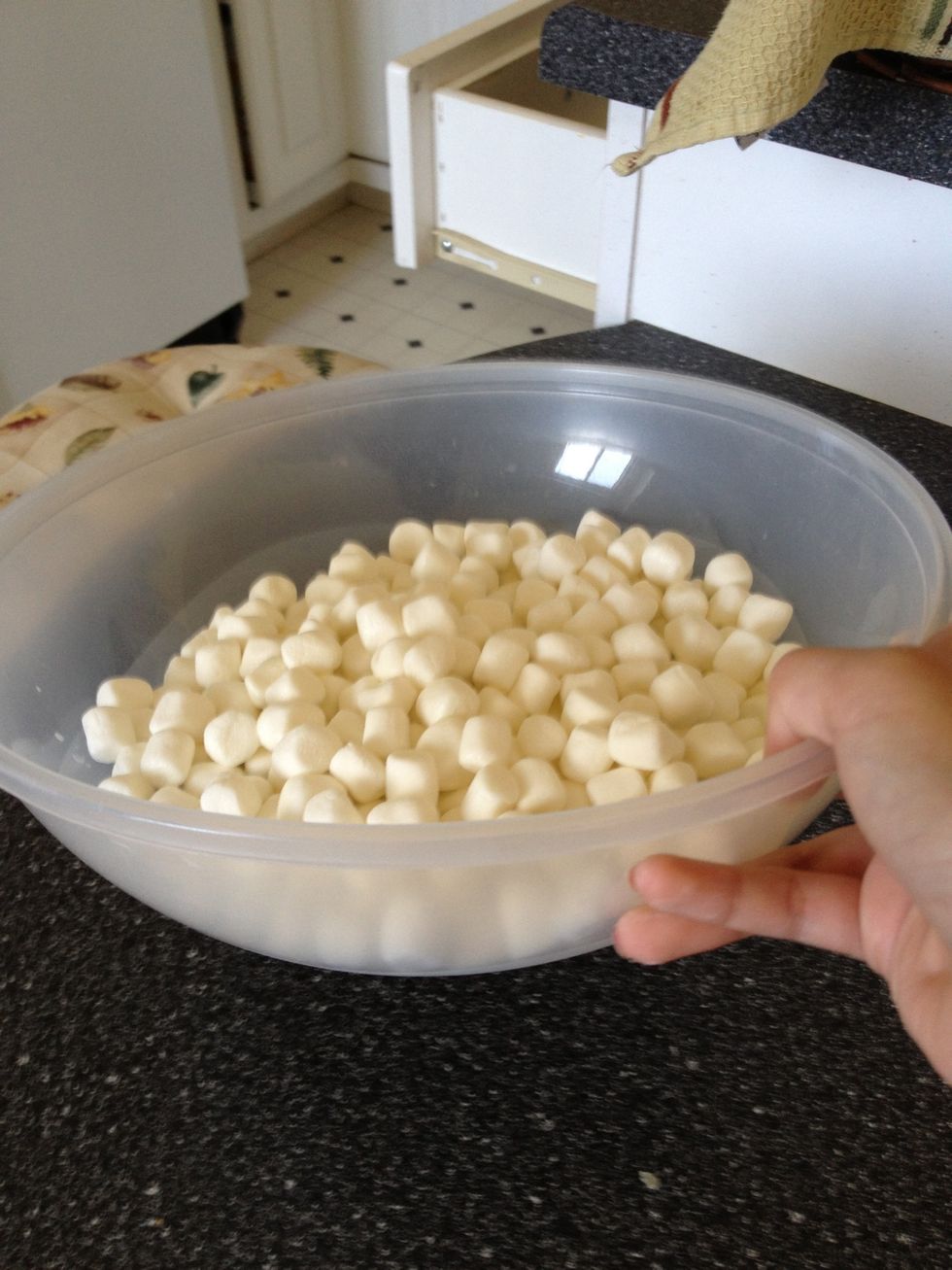Here is approximately 2 cups of mini marshmallows in a microwave safe bowl