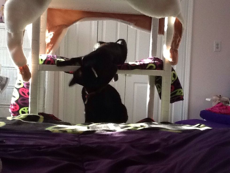 Here is mine: My cats Louie, Shadow, and Rosie all there being cute.  ( they aren't black cats. They each have one or two spots of white on them.)