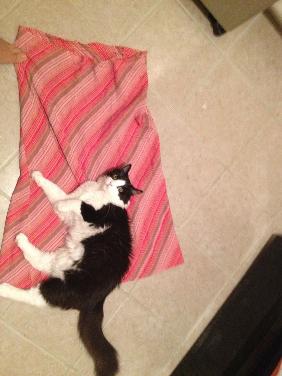 Here is my too big skirt with my psycho cat on it. No sewing for him until he can properly thread a needle. Please excuse the grubby floor.