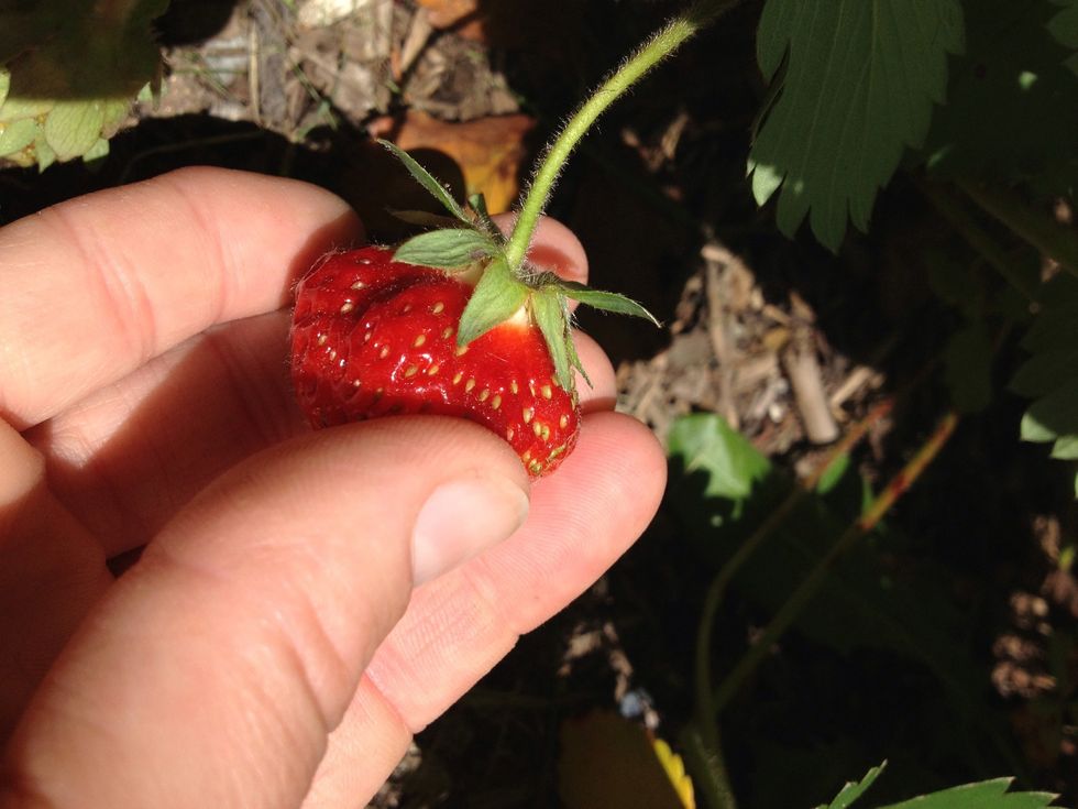 Here is one ready to pick :)