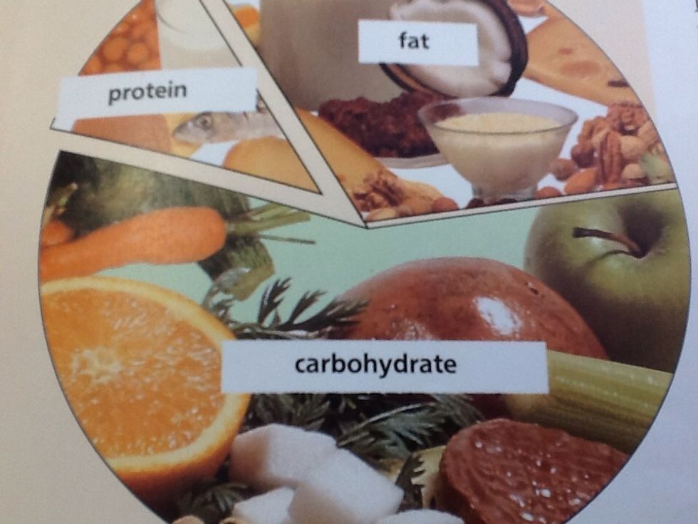 here is the circle of a diet. the smaller the less you should eat them even though i cant resist fish  (-; the bigger the more you should eat them