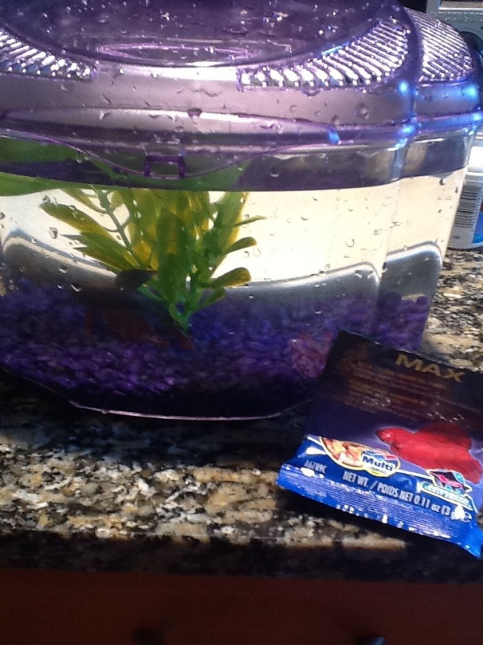 Here is the finished product and add some food