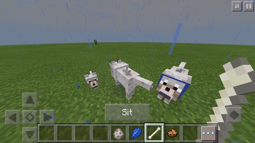 Here is your crazy dog family! Comment if you have any idea on a name for them...