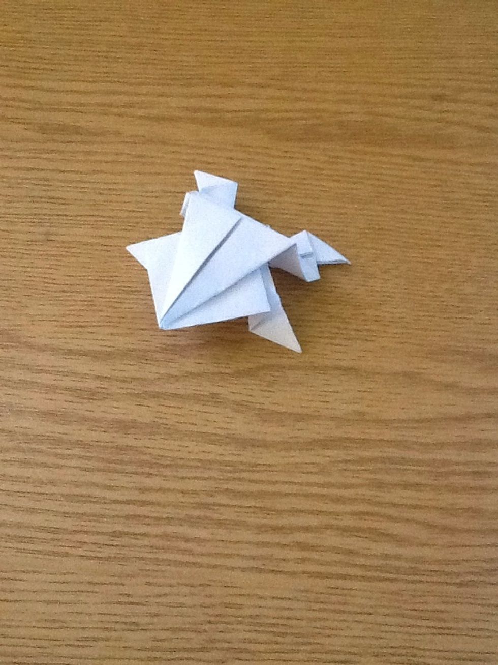 Here is your frog.. You can call it any name you want..