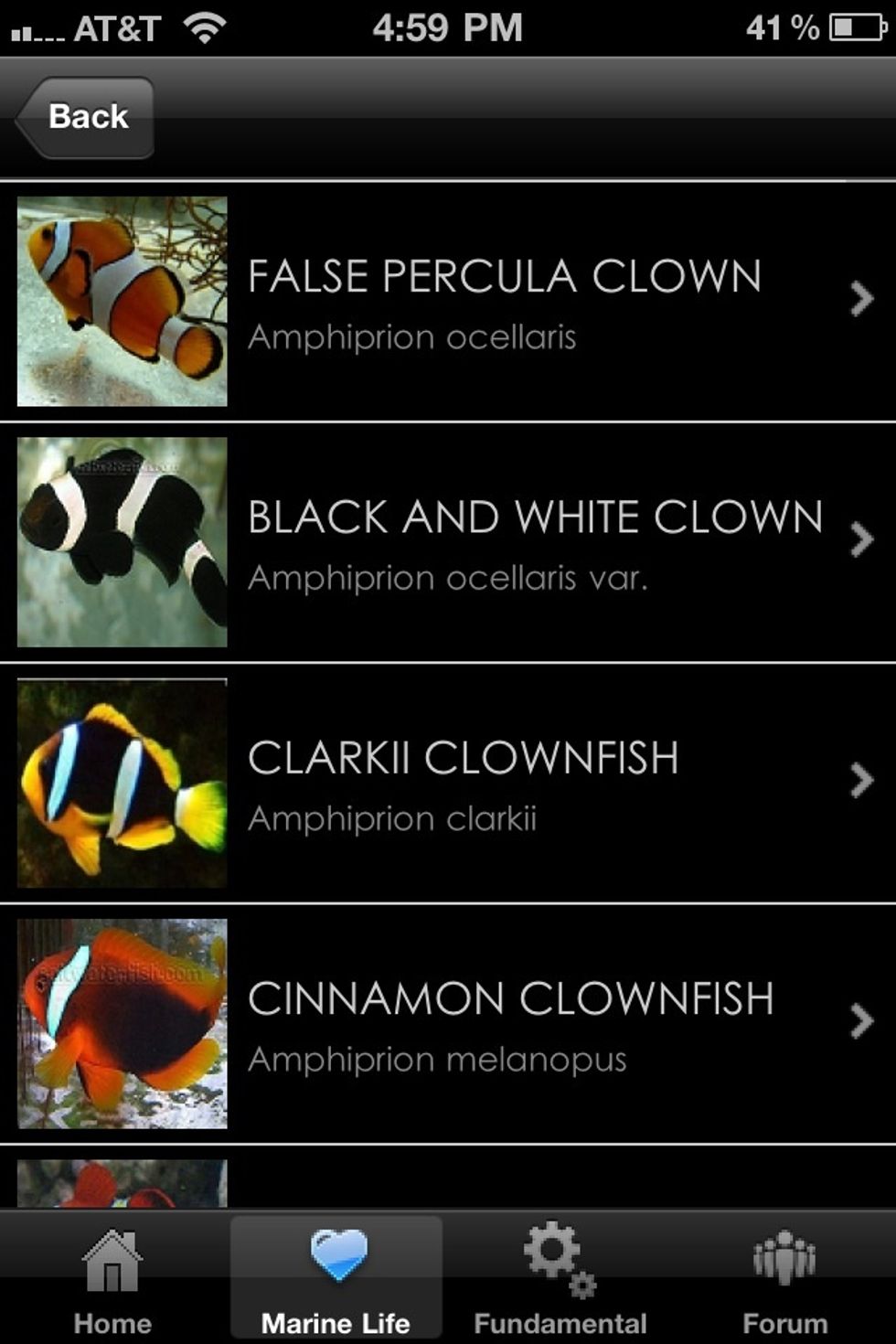 Here it then list various types of clownfish.
