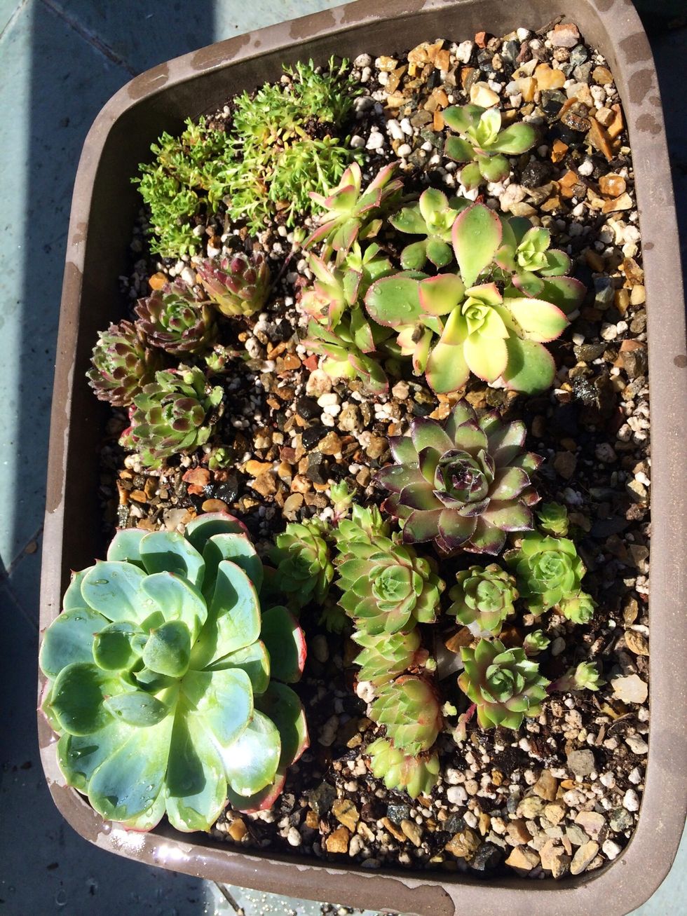 Here's a full photo.