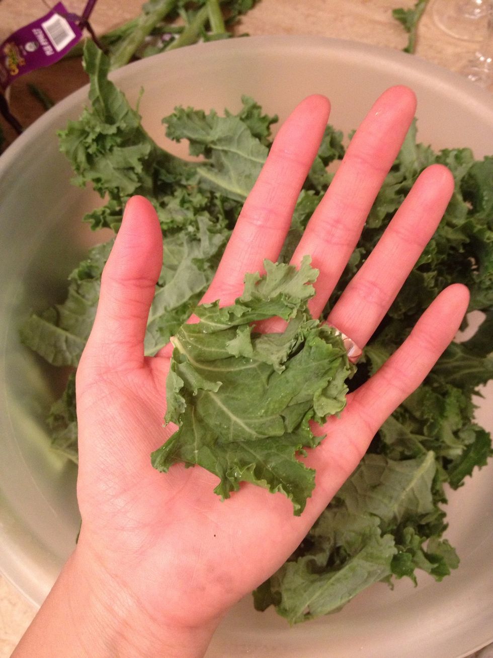 Here's a medium piece. This is actually the best size to tear them into.