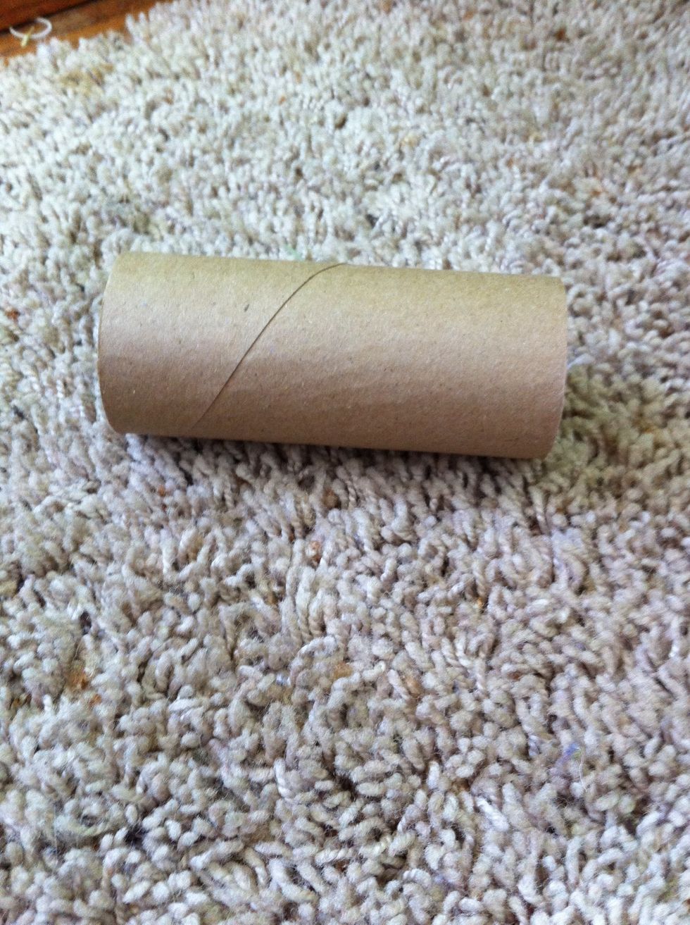Here's a paper towel tube craft.