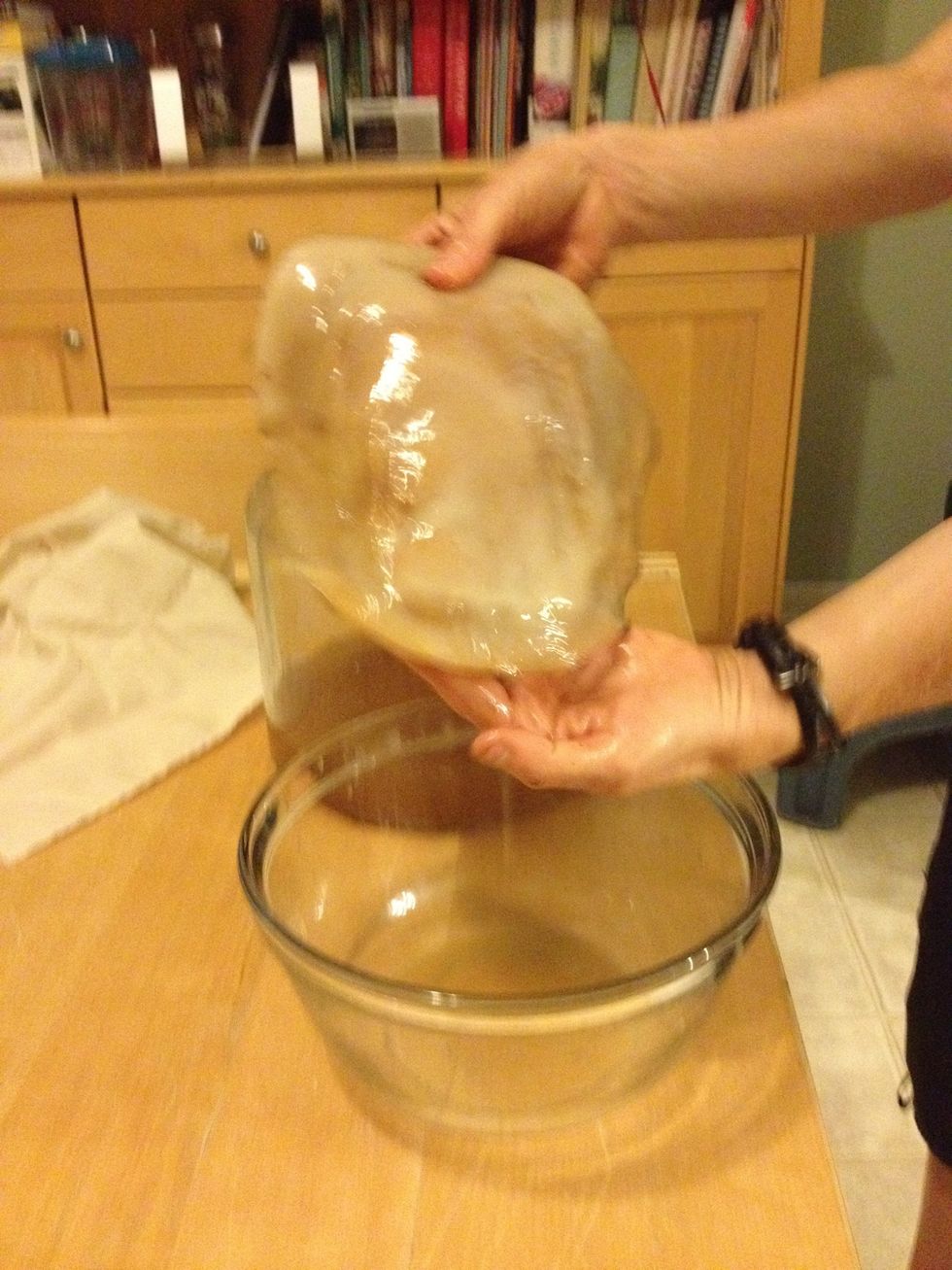 Here's a scoby. Looks like an alien creature. Before I touch it I wash my hands well. Remove it from the container that it was in. Put it aside in a bowl with some kombucha from the previous batch.