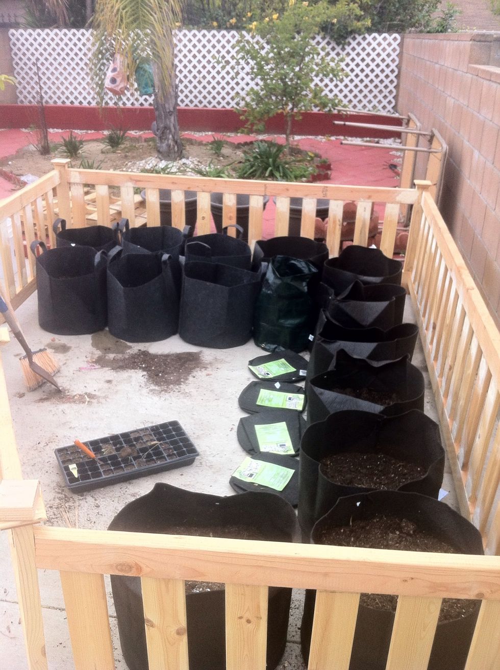 Here's a shot of how it's going to look. This season I'm trying the smart pots and dirt pots.