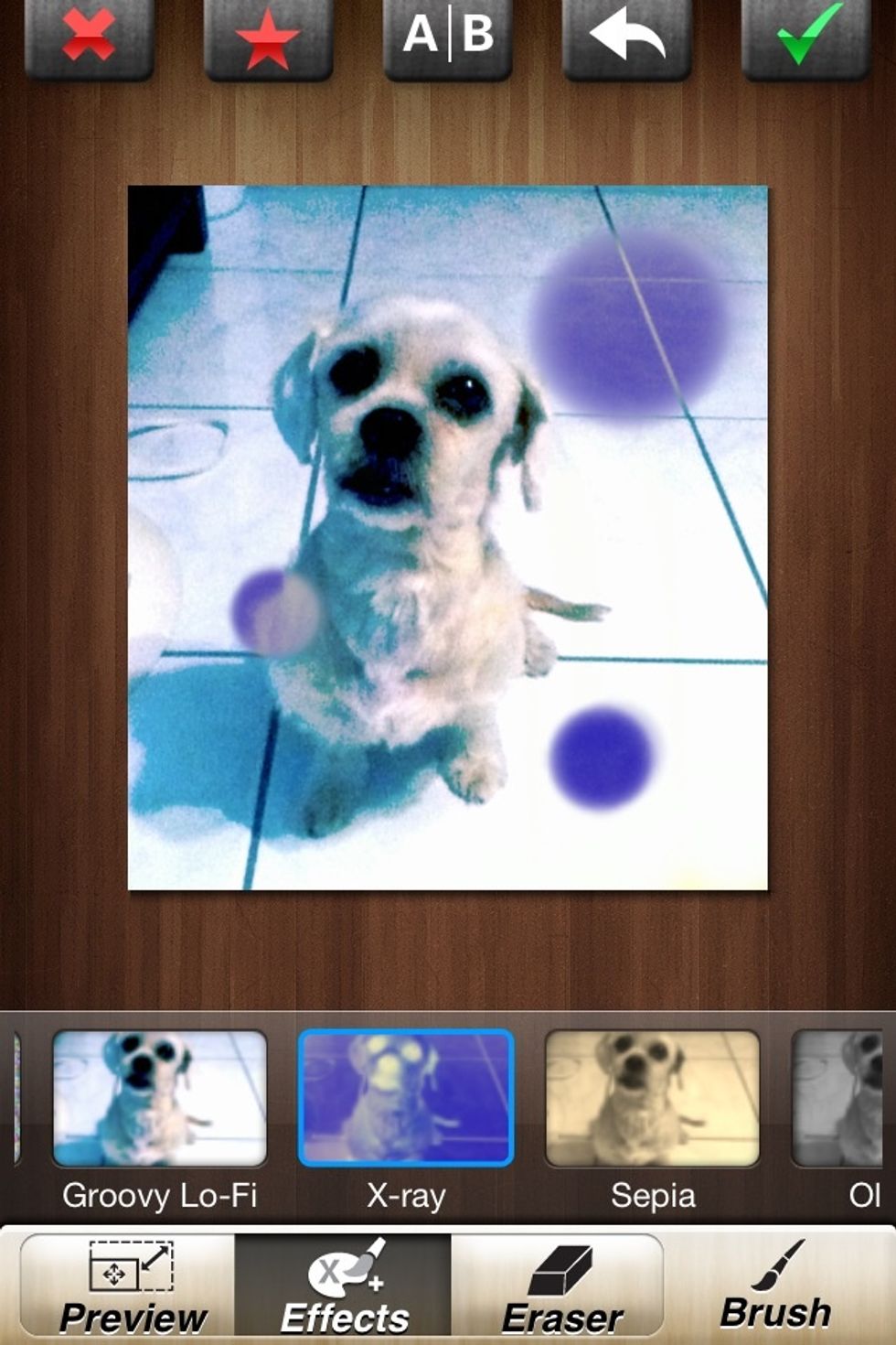 Here's A Tip! The X-Ray Effect Looks VERY Ugly To Me When Used On The Whole Photo. But If You Just Add Some Dots, It Looks Pretty Nice \ud83d\ude01