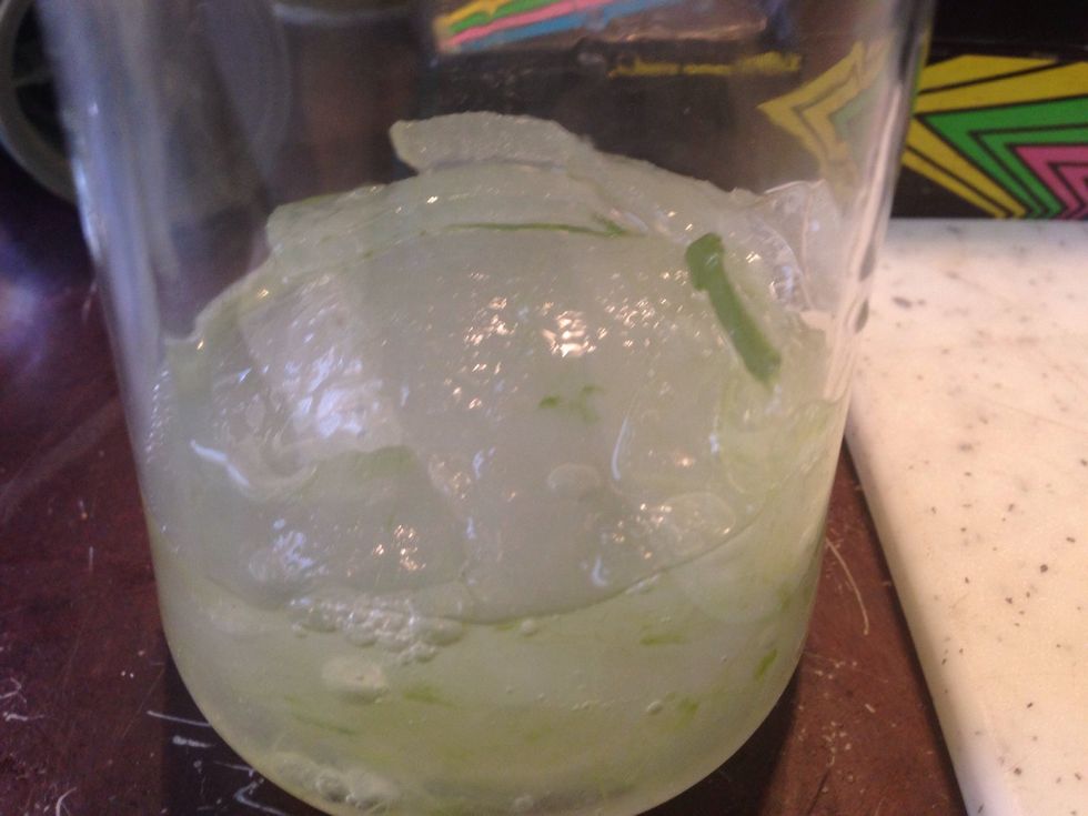 Here's all the meat I collected from the aloe leaf