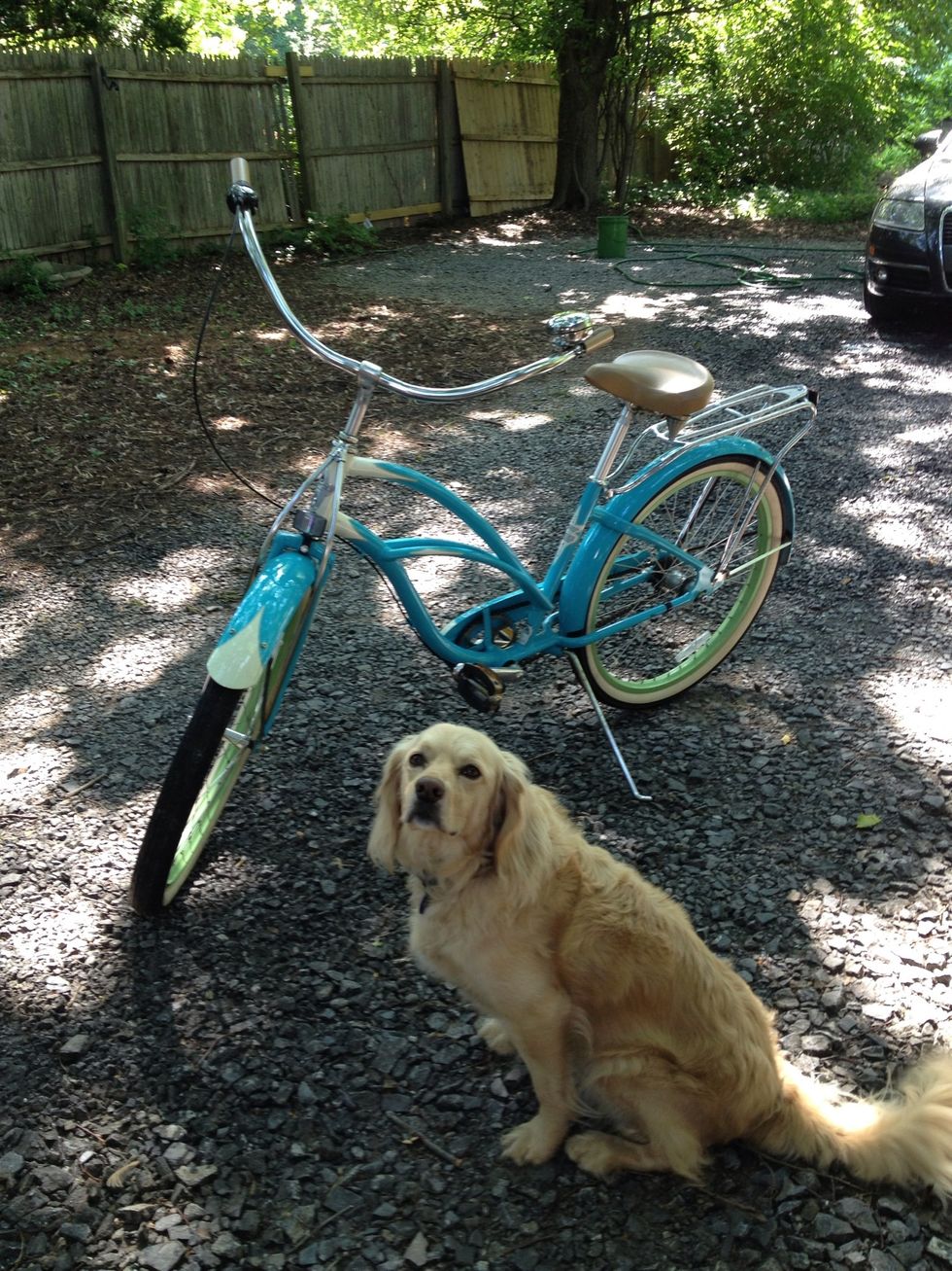 Here's an after photo (I brought in Seamus the puppy for a cameo). I can't believe how great it looks! Who knew?!