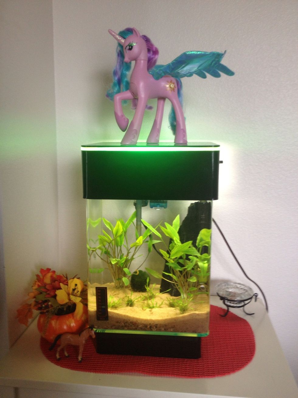 Here's my tank, now protected by Princess Celestia.