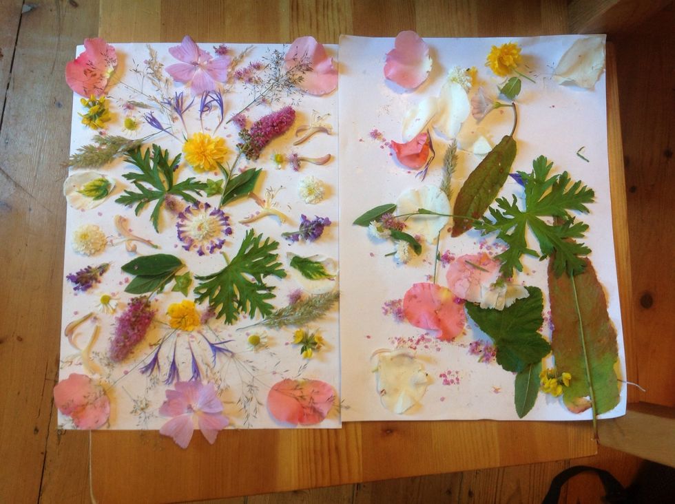 Here's our finished pictures. Take a photo as they won't look as vibrant after pressing.